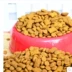 6 kg Quảng Đông Weijia hải sản mèo thực phẩm cố gắng ăn bánh sandwich sắc nét Weijia cá biển vào thức ăn cho mèo 500 gam số lượng lớn