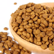 6 kg Quảng Đông vận chuyển hương vị thịt bò thức ăn cho mèo vào thức ăn cho mèo muối thấp trẻ mèo thực phẩm thử pet cát 500 gam số lượng lớn