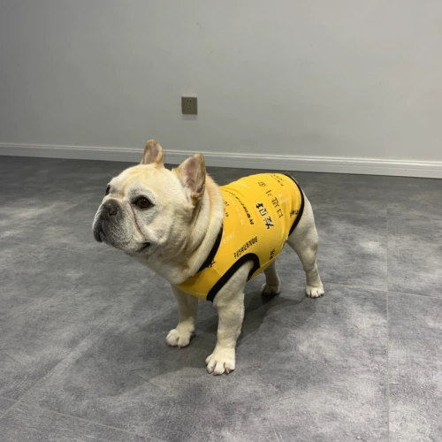 Жилетку для домашних собак в летнем фататном складе FA Dou Babago Fat Dog Bull Dog