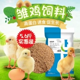Куриная кормление 20 фунтов больших куриных кормов для утиной перевозки гранул цыплят, куриная курица кормление куриная пища утки