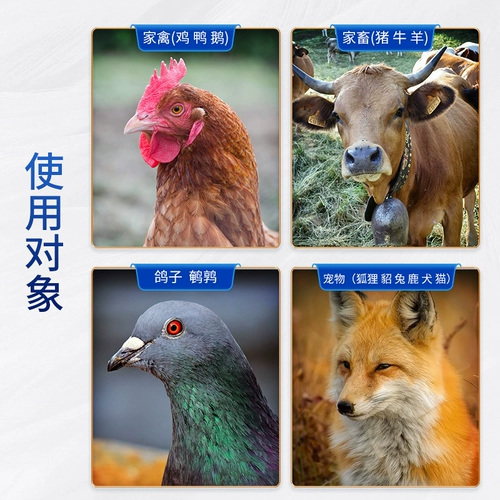 Сконцентрированные масла печени трески для увеличения яичных яиц с яйцами и кормить добавки, курицу, утки и гусь, электролитическое многомерное размер