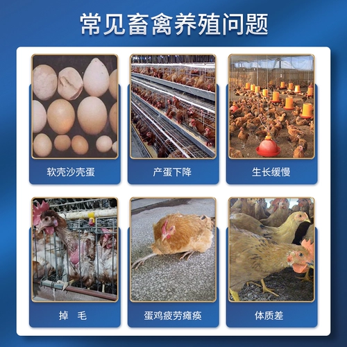 Сконцентрированные масла печени трески для увеличения яичных яиц с яйцами и кормить добавки, курицу, утки и гусь, электролитическое многомерное размер