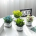 Mô phỏng Bắc Âu giả xanh cây xanh trang trí cây nhân tạo hoa nhỏ trong chậu trang trí nhà phòng khách trang trí hoa - Trang trí nội thất Trang trí nội thất