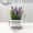 Mô phỏng Bắc Âu giả xanh cây xanh trang trí cây nhân tạo hoa nhỏ trong chậu trang trí nhà phòng khách trang trí hoa - Trang trí nội thất phụ kiện trang trí nhà đẹp
