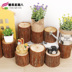 Fir stump vườn ươm trang trí gỗ trang trí phòng ngủ trang trí tường phòng ngủ hoa ba chiều trang trí tường - Trang trí nội thất decor phòng ngủ Trang trí nội thất