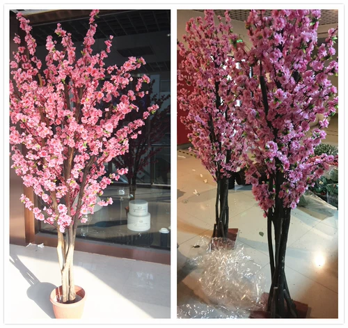 Специальное предложение Бесплатная доставка свежеприготовленные персиковые дерево Bonsai Bonsai Новогоднее празднование дома мебель