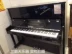 Helen piano Áo. Wendelong W126 ánh sáng đen chuyên nghiệp chơi đàn piano gia đình dọc - dương cầm dương cầm