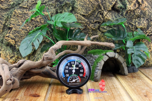 Домашние животные снабжают цистерсные температуры и влажности, выразание лазания для животной коробки земли черепаха ящерицы ящерицы