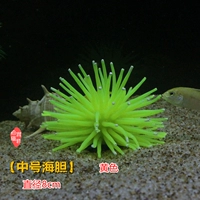 【8 см среднего морского ежа】 желтый