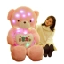 Teddy gấu panda búp bê ôm gấu búp bê ngủ ngủ dễ thương đồ chơi sang trọng gấu lớn quà sinh nhật cô gái - Đồ chơi mềm