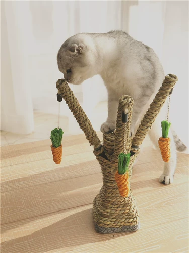 Кошка поднимается на меч конопля веревка кота схватит кошку на полке игрушку для кошки игрушки, конопля для меча, ког