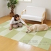 Nhật bản nhập khẩu thảm sàn mat chống trượt mat phòng khách bò mat trẻ em sàn khảm mat suede dày Thảm sàn