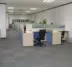 gạch thảm thương mại phòng văn phòng văn phòng kỹ thuật phòng họp kinh doanh thảm có thể được cài đặt - Thảm Thảm