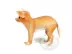 Full 68 Pet Dog Chihuahua với Giáng sinh Ông già ăn mặc Mô hình giấy 3D Mô tả giấy DIY - Mô hình giấy đồ chơi xếp hình bằng giấy Mô hình giấy