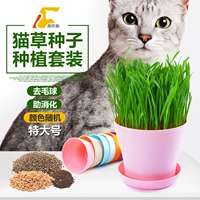 Коррупционная кот-китайская хорошая трава кошачья трава частная кошачья трава цветок для волос/шар для волос/труба пшеницы