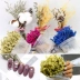 Nail hình ảnh đạo cụ hoa khô lông tay hoa sáng tạo thời trang công cụ chụp nền vải in lưới màu đỏ đồ trang trí - Công cụ Nail Công cụ Nail