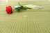 Thảm rơm tự nhiên 1,25 m tùy chỉnh làm thảm trắng 1,25 m thảm cỏ 蔺 草 - Thảm mùa hè