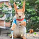Чай Мао Фэн, хлопковая футболка, комплект, принт, цвет