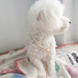 Колокольчик ручной работы, чокер, милое ожерелье из жемчуга, цепочка, аксессуар, домашний питомец, замок долголетия