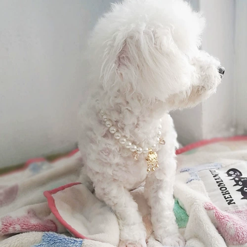 Колокольчик ручной работы, чокер, милое ожерелье из жемчуга, цепочка, аксессуар, домашний питомец, замок долголетия