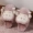 Dép cotton nữ mùa đông Phiên bản Hàn Quốc của phim hoạt hình chú cừu dễ thương trong nhà