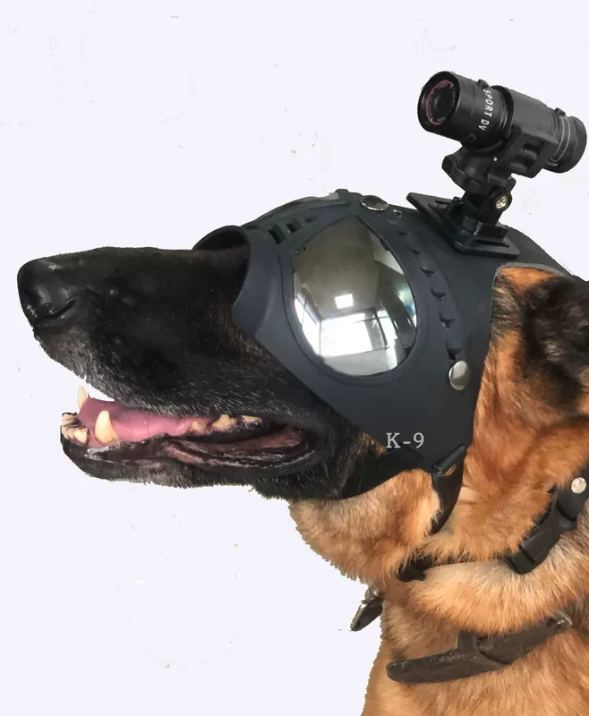 Собачьи принадлежности для служебной собаки K-9, защитные очки для собак, зеркало шлема, Германия