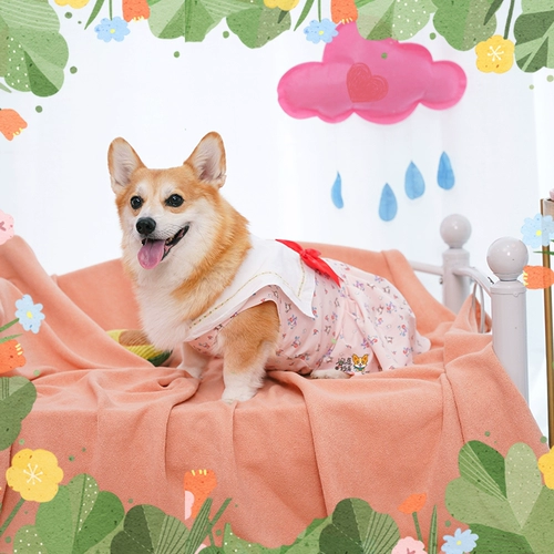 Wanwan Corgi Secret Garden Corki сладкая юбка весна и летняя летняя брызга хлопковая одежда для домашних животных собак
