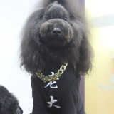 Кошка и собака местное золотое ожерелье из тирана