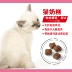 Trung Quốc HOÀNG GIA BK34 [1-4 tháng tuổi] Thức ăn cho mèo, thức ăn cho mèo, mèo đầy đủ loại 2kg - Cat Staples Có nên trộn 2 loại hạt cho mèo Cat Staples