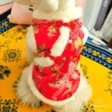 Fugui Flowers in Tang Dynasty Clothing Pet Clothing Clothing Осень и зима утолщенное хлопковое пальто праздничный фестиваль китайский стиль