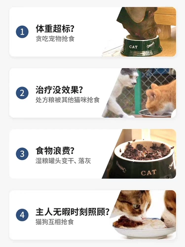 Surefeed Smart Chips Induction Multi -CAT Автоматическая подача мокрого зерна и свежие чаши для домашних кошек