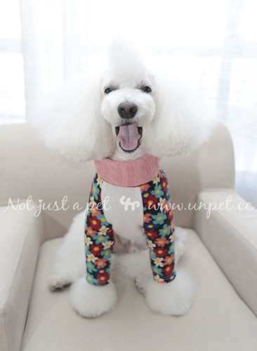 Baojuan Unpeat Pet Dog Одежда японская одежда с длинными рукавами руганная футболка с одеждой для собачьей одежды
