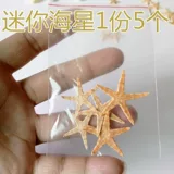 DIY Crystal Candle Shell Shell St. Stars Minol Shell Shell