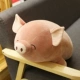 Симпатичная персиковая свинья