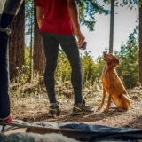 Шерстяные удерживающие тепло быстросохнущие базовые штаны