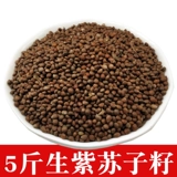 5 Catty Northeast Green Leaf Purple Supvi Suppi Curosi Семена фиолетовых пурпурных семян могут быть посажены с маслом и маслом высокой Perilla 2500G