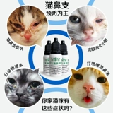 Лечение кошек со слезами, дерьмом, холодом, чихание, сопли, глаза, слезы, воспалительные кошки, капля носа