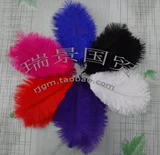 Заводские прямые продажи волосы страуса 20-25 см свадебные перья сцены