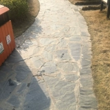 Натуральные голубы