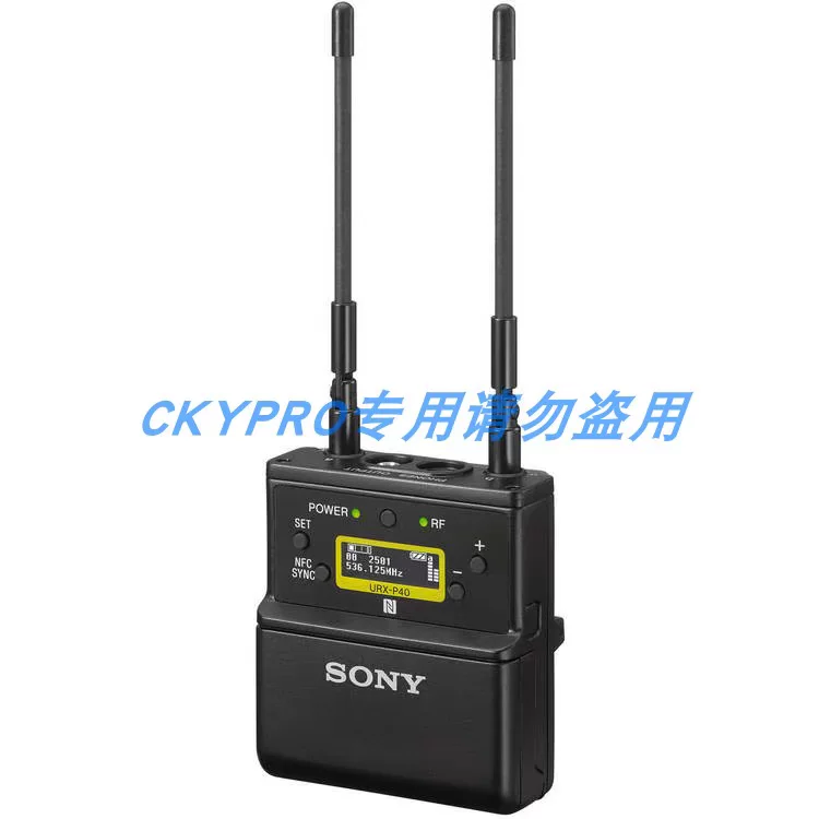 Sony, камера, беспроводной видеокамера, микрофон, D21, пчела, D11