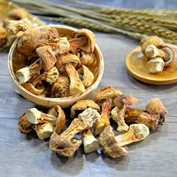 Jiusong mushroom 500g yunnan tu Specialties, Jiusataki Бразильские грибы Съедобный бактерий -суп, горячий горшок материал сухой товары бесплатная доставка