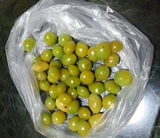 2020 Bai Guo Fresh Special Ginkgo Ginkgo Ginkgo Fruit 5 Бесплатная доставка+инструменты+рецепты Tancheng Silver