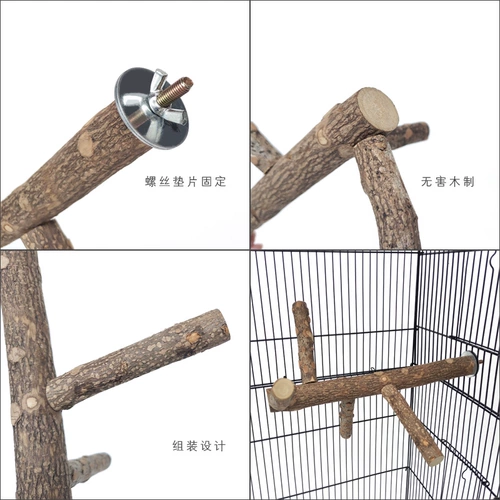 Yuedi pepper pepper деревянная птица стоящая палка деревянная когтя