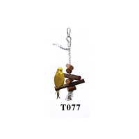 T077