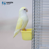 Hagen つ 奈 奈 衲 衲 庑 庑 庑  袼  柁 柁 柁 柁 柁 柁 柁 柁 柁 柁 柁 柁 柁 柁 柁 柁 柁 柁 柁 柁 柁 柁 柁 柁 柁 柁 柁 柁