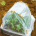 Ai Green | Đề xuất làm vườn bằng nhựa có màng phủ nhựa Trang trại làm vườn lạnh và phụ kiện chống mưa Nguồn cung cấp vườn