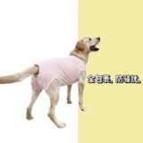 Тайванг большой и средний, собаки, и собаки физиологические штаны Менструальный период Золотая Мао тетя Джинмао Анти -харассирующая противозачаточная одежда все обернутые хлопок