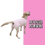 Тайванг большой и средний, собаки, и собаки физиологические штаны Менструальный период Золотая Мао тетя Джинмао Анти -харассирующая противозачаточная одежда все обернутые хлопок