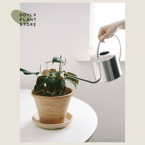 Черный латунный чайник из нержавеющей стали для домашнего использования