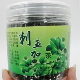 Северо -восточный специалист дикий Strang Wujia чайная стоматология Wujiaye Mountain Mountain Wulin Ginseng Big Leaf Новый чай новый чай красный